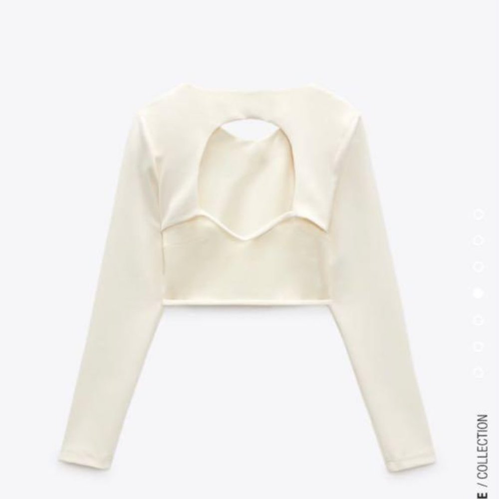 Zara Open Back Crop Top + Skirt Set - Picture 4 of 12